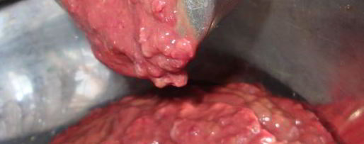 Шаг 1: суфле из печени