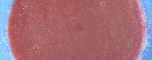 Шаг 2: суфле из слив со сгущенным молоком