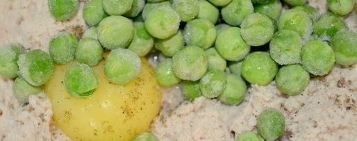 Шаг 5: террина-суфле три вкуса