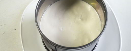 Шаг 15: торта-суфле птичье молоко