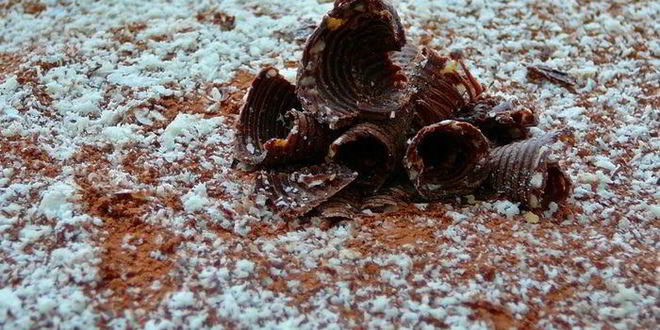 Рецепт тирамисудомашнего