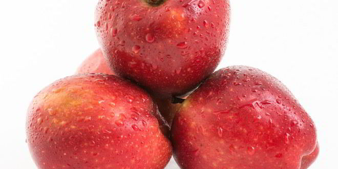 Рецепт яблочной пастилы