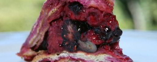 Шаг 8: ягодного пудинга