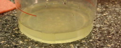 Шаг 3: брусничного зефира с малиновым соусом