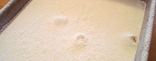 Шаг 2: домашнего зефирмаschmellow