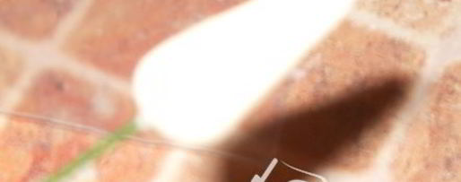 Шаг 10: мастики из маршмеллоу и розы