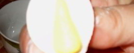 Шаг 12: мастики из маршмеллоу и розы