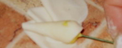 Шаг 15: мастики из маршмеллоу и розы