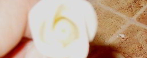 Шаг 16: мастики из маршмеллоу и розы