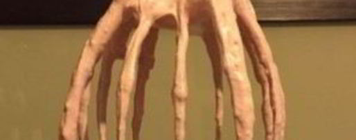 Шаг 5: вишневого зефира