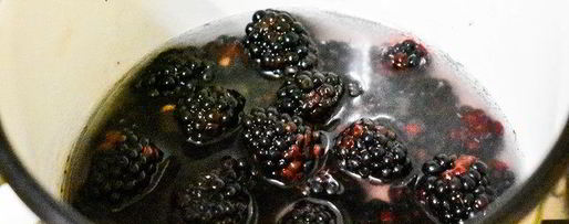 Шаг 1: зефира из ежевики