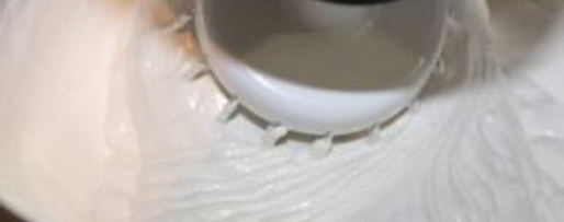 Шаг 5: зефира яблочного