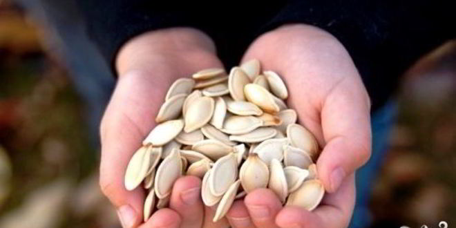 Рецепт жареных тыквенных семечек