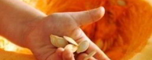 Шаг 2: жареных тыквенных семечек