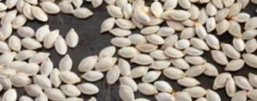 Шаг 5: жареных тыквенных семечек