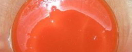 Шаг 2: желе рыбного