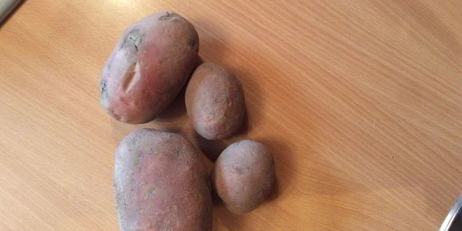 Рецепт драников картофельных