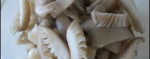 Шаг 16: картофельных драников с мясом под грибным соусом