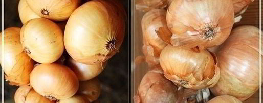 Шаг 5: форшмака имени сырожиной бабушки