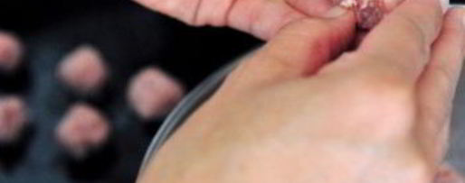 Шаг 1: фрикаделек из фарша индейки