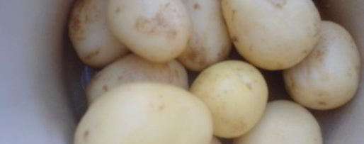 Шаг 2: картофеля отварного, сермяжного