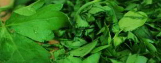 Шаг 4: долмы по-азербайджански