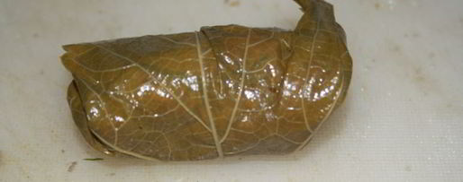 Шаг 6: долмы