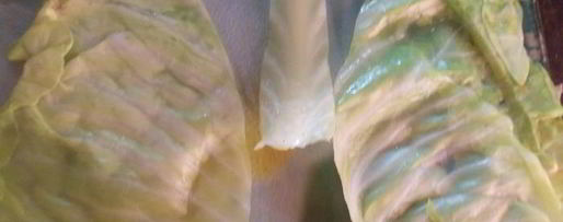 Шаг 8: домашних голубцов