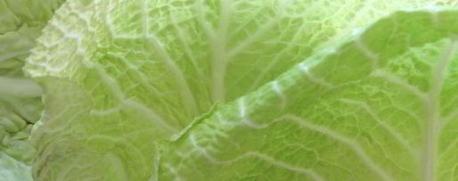 Шаг 2: голубцов из прованса