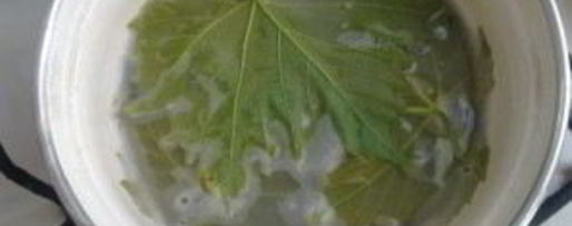 Шаг 2: голубцов из виноградных листьев