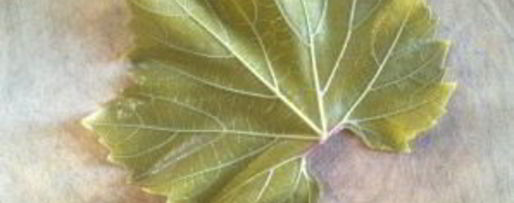 Шаг 6: голубцов из виноградных листьев