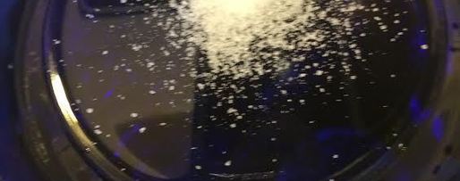 Шаг 5: голубцов летних