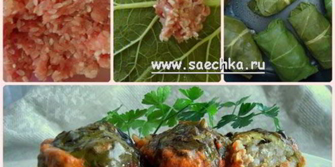 Рецепт голубцов в листьях ревеня