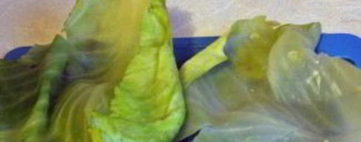 Шаг 1: голубцов жареных