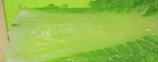 Шаг 2: любимых голубцов