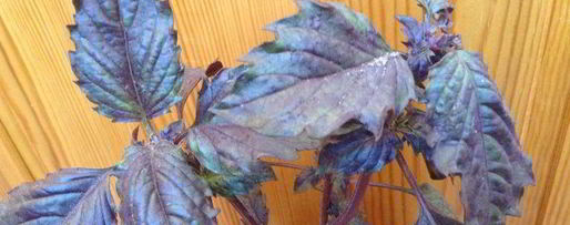 Шаг 4: овощной долмы