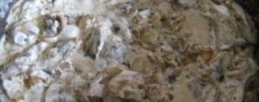 Шаг 3: белых грибов в мультиварке