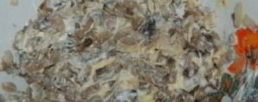 Шаг 3: фаршированных шампиньонов с сыром