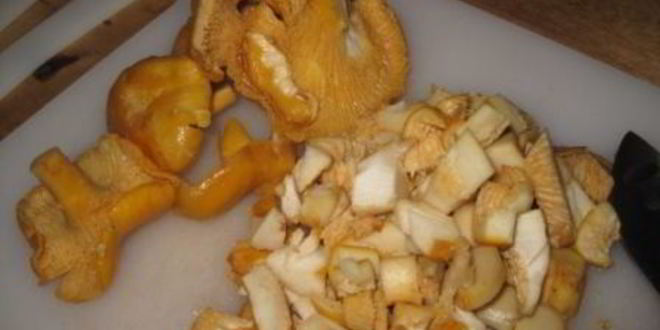 Рецепт лисичек жареных