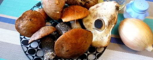 Шаг 2: подберезовиков жареных