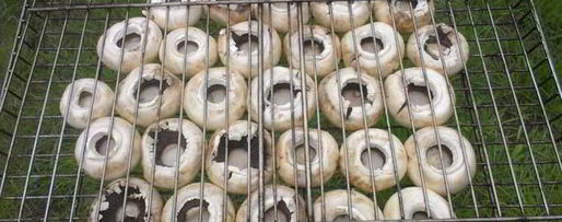 Шаг 2: шампиньонов на мангале