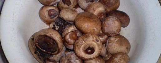 Шаг 7: шампиньонов по-итальянски