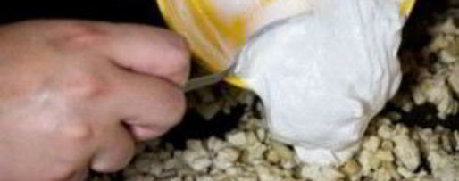 Шаг 3: шампиньонов с курицей и сыром