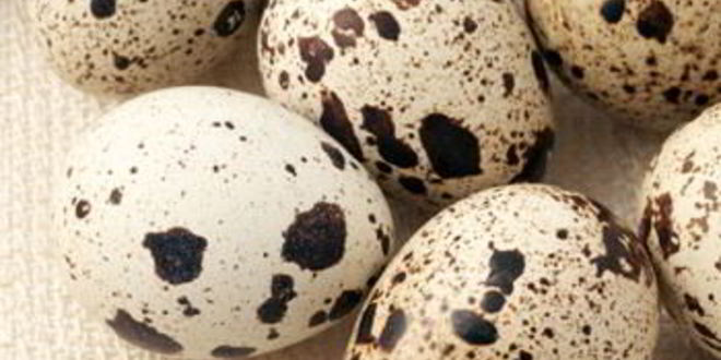 Рецепт шампиньонов с перепелиными яйцами