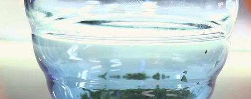 Шаг 1: шампиньонов с яйцом и зеленью