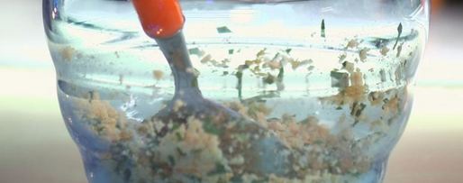 Шаг 2: шампиньонов с яйцом и зеленью