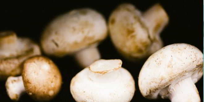 Рецепт шампиньонов, тушенных с белым вином и чесноком