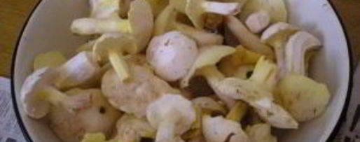 Шаг 1: соленых маслят жареных