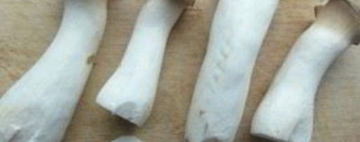 Шаг 1: запеченных вешенок