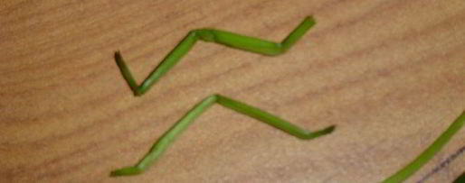 Шаг 2: картофельного пюре паучки